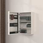 Wall storage cabinet with mirror